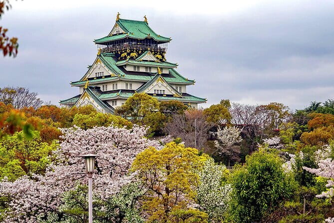 Osaka & Kyoto & Nara Top Hightlights English Speaking Tour - Kimono Add-On and Comfort Tips for a Smooth Day
