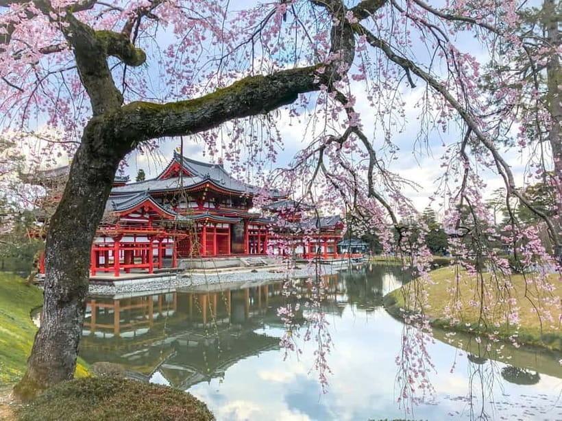 Osaka: Kyoto & Nara & Uji Historical and Scenic One-Day Tour - Nara Park: Friendly Deer, Quick Snacks, Great Photos