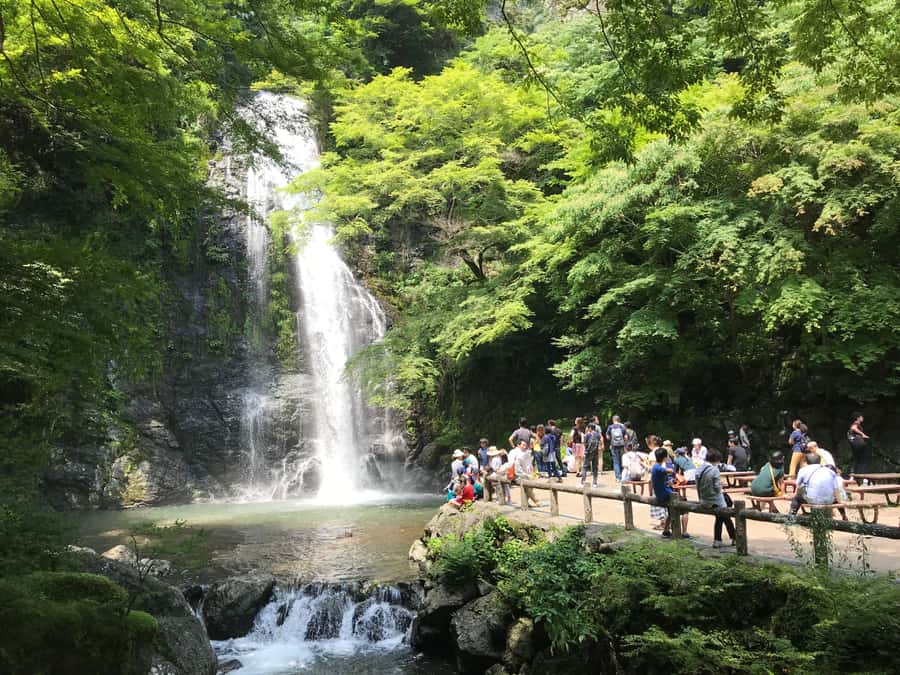 Osaka: Mino Forest Walk and Giant Waterfall with Local Lunch - From Osaka to Mino: the appeal of this forest escape