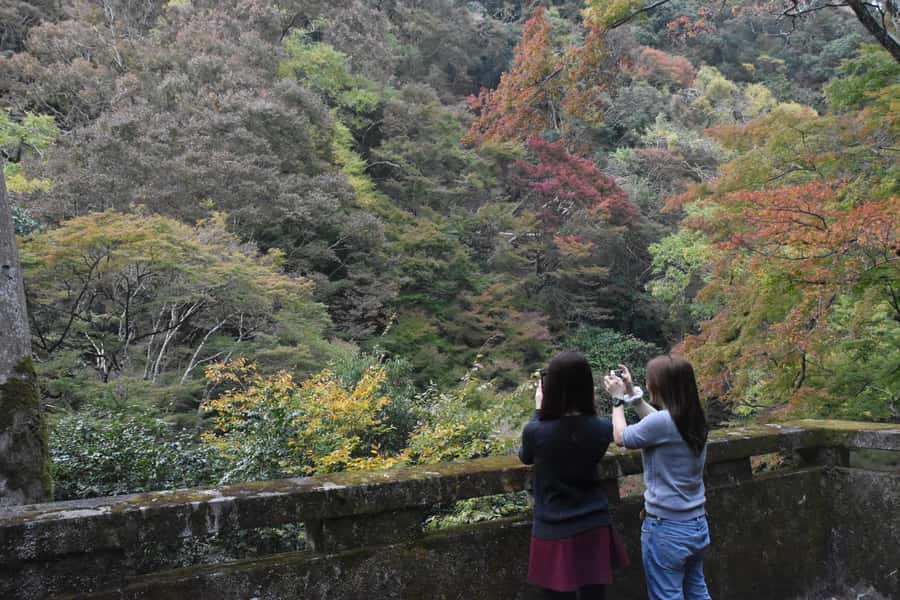 Osaka: Mino Forest Walk and Giant Waterfall with Local Lunch - Part 2 (about 30 minutes): the forest hike and the organized path
