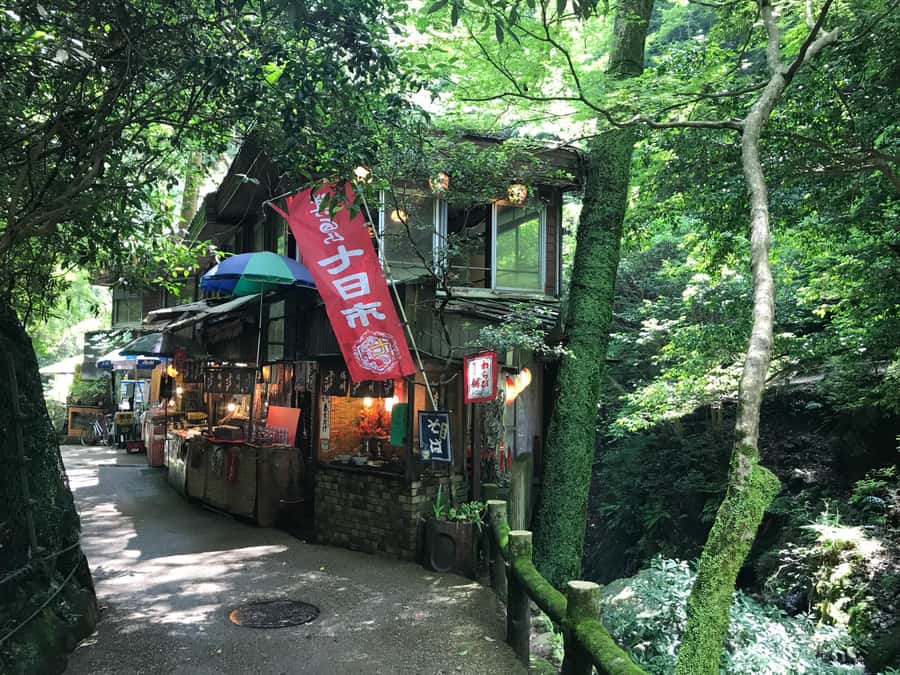 Osaka: Mino Forest Walk and Giant Waterfall with Local Lunch - Returning (about 45 minutes): easier route back to the group