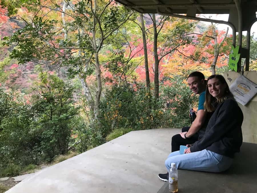 Osaka: Mino Forest Walk and Giant Waterfall with Local Lunch - Local lunch (about 45 minutes): a real meal, not a snack plate