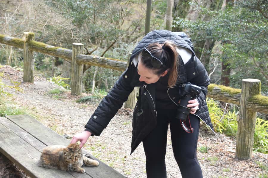 Osaka: Mino Forest Walk and Giant Waterfall with Local Lunch - Why I think the guide matters (and why it shows)