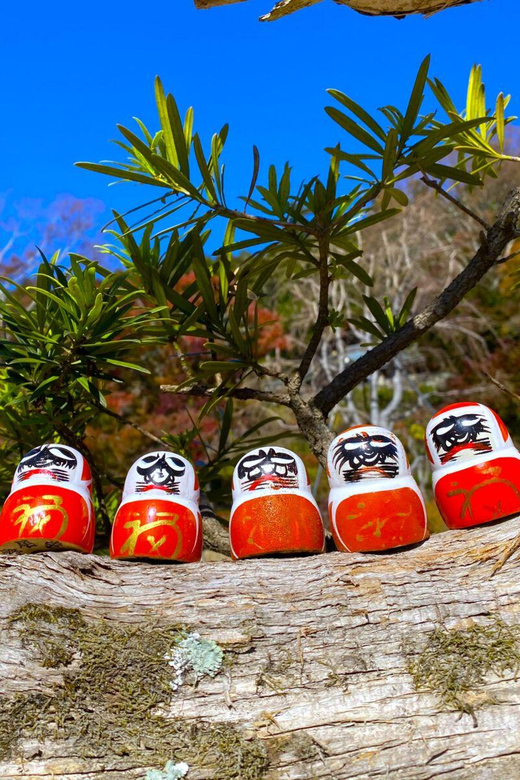 Osaka: Minoh, Katsuoji Temple, & Minoh Falls Full-day Tour - Who this Osaka to Minoh day trip is best for