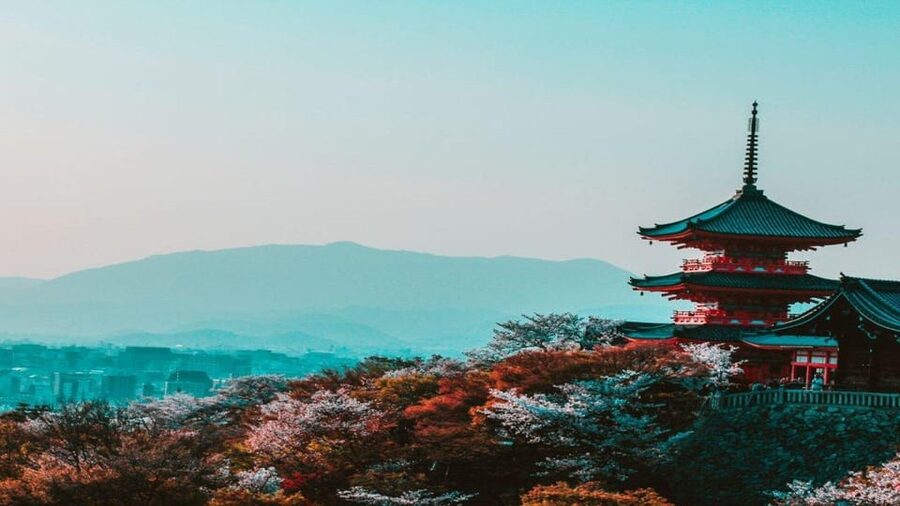 Osaka : Must-see & Hidden Gems Walking Tour - Starting in Namba: your quickest path to Osaka’s main “story”