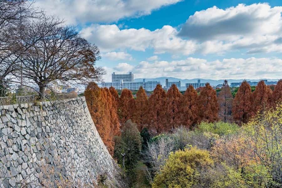 Osaka: Osaka Castle 3 hours Historical Walking Tour - Why Osaka Castle Is Better as a Walking Tour