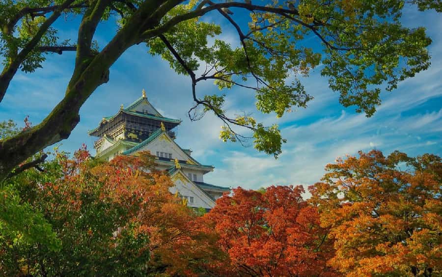 Osaka: Osaka Castle 3 hours Historical Walking Tour - Panoramic Views From the Observation Deck: How to Read the City