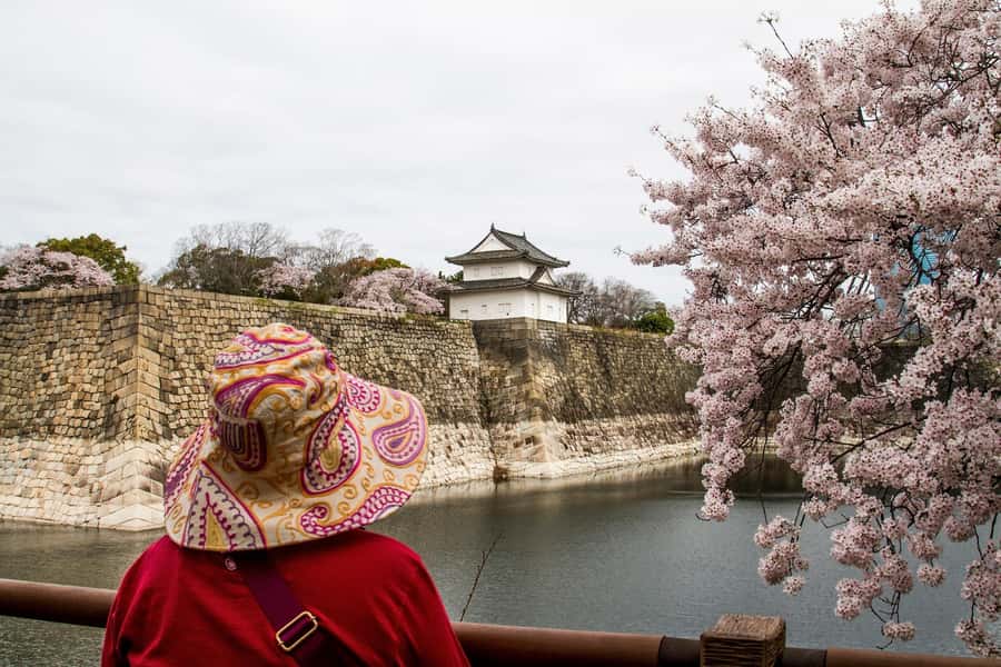 Osaka: Osaka Castle 3 hours Historical Walking Tour - Nishinomaru Garden: A Calm Break With Castle Views