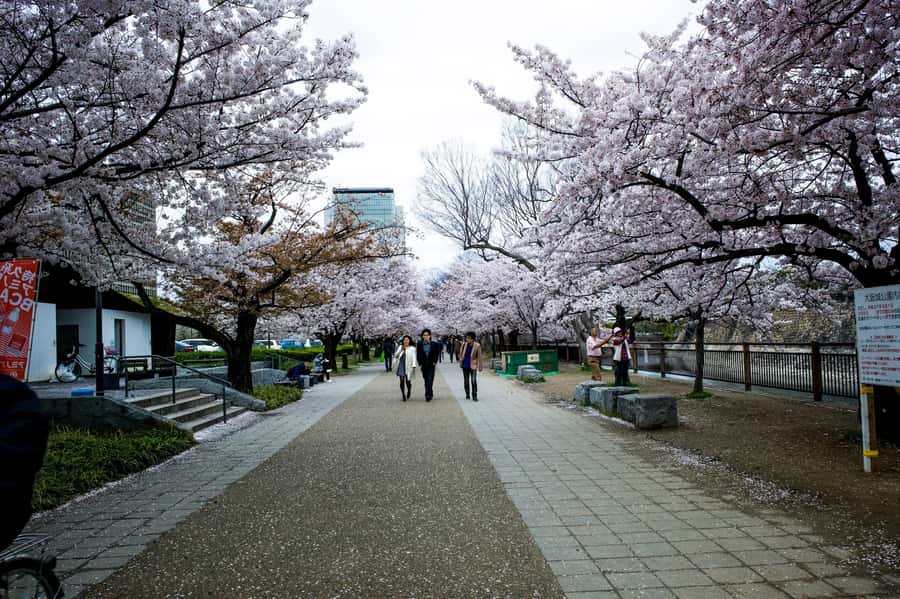 Osaka: Osaka Castle 3 hours Historical Walking Tour - Osaka Castle Park: Where Local Life Makes the Grounds Real