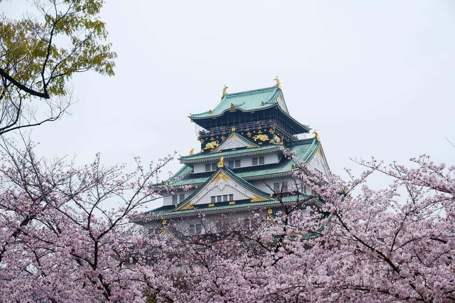 Osaka: Osaka Castle 3 hours Historical Walking Tour - Miraiza Osaka: From Samurai-Era Legacy to Imperial-Era History