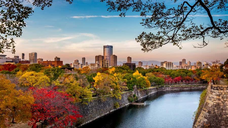 Osaka: Osaka Castle 3 hours Historical Walking Tour - The Route: JR Osaka-jo Koen Exit 2 to an Easy Loop
