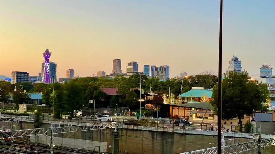 Osaka: Osaka Castle - Tsuruhashi - Tennoji (Spanish Guide) - Who this tour is best for, and what might not fit