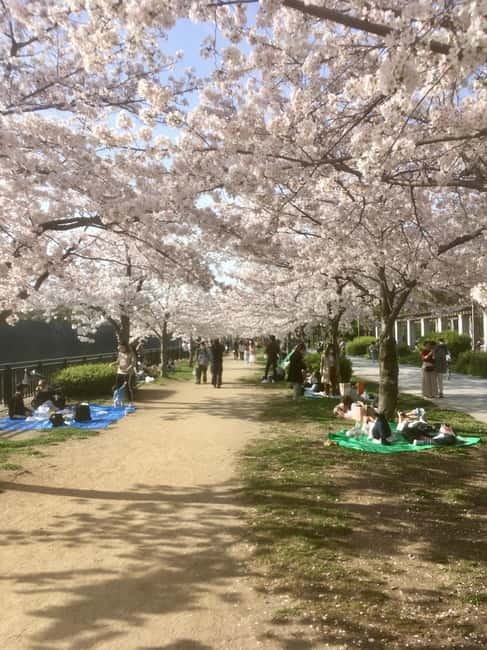 Osaka: Private and Fully Customized Tour with Hotel Meet Up - The Route in Plain Terms: Castle Calm, City Noise, Market Stops