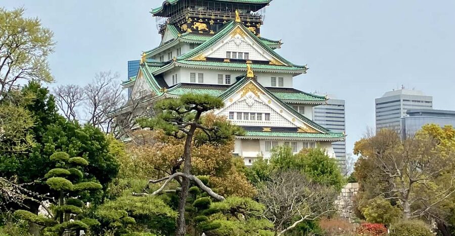 Osaka: Private and Fully Customized Tour with Hotel Meet Up - Ninenzaka and Sannenzaka Lanes: Old-Street Walking With a Purpose