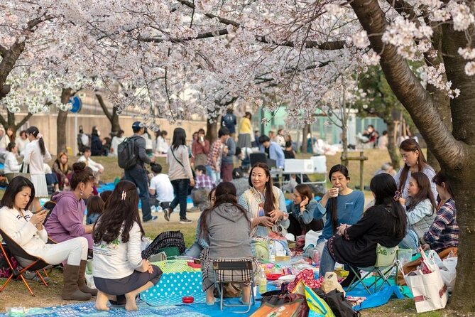 Osaka Private Cherry Blossom Tour with a Local – Picnic Included - A 3–4 hour private hanami plan that feels like Osaka