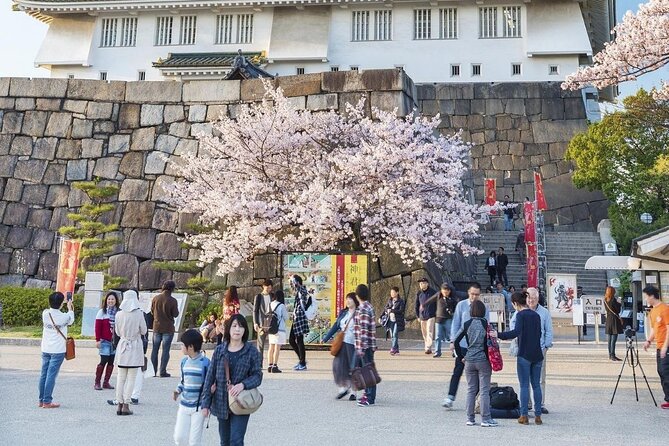 Osaka Private Cherry Blossom Tour with a Local – Picnic Included - Osaka Mint Bureau garden: many varieties, limited opening window