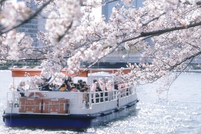 Osaka Private Cherry Blossom Tour with a Local – Picnic Included - Temple garden time: a quiet sakura pocket for the Four Heavenly Kings