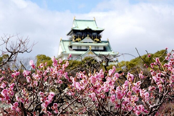 Osaka Private Cherry Blossom Tour with a Local – Picnic Included - O River banks to close: a calmer finish near the castle area