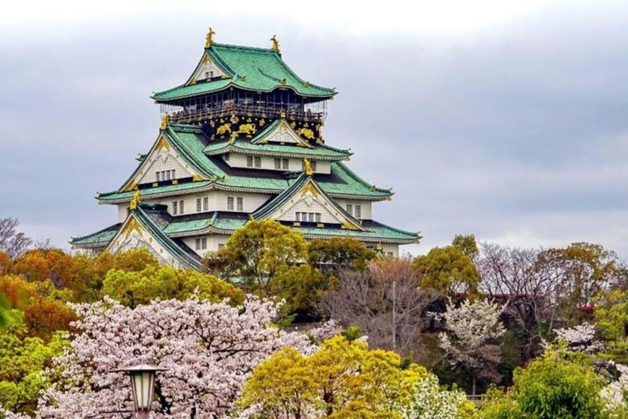 Osaka: Private Custom Walking Tour with a Local Guide - Getting around without cars: walking plus smart transit