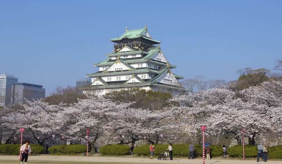 Osaka: Private Customizable Day Tour with Hotel Transfer - Your 10-hour rhythm: from markets to skyline