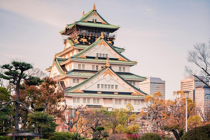 Osaka Private Hightlights Tour Customizable & English Driver - Key highlights worth planning around