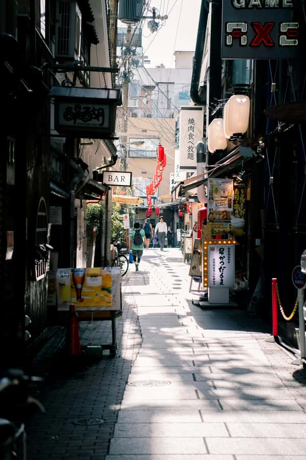 Osaka private Luxury Vehicle Tour：Freely Customized - Price and what $303 covers for up to 5 people