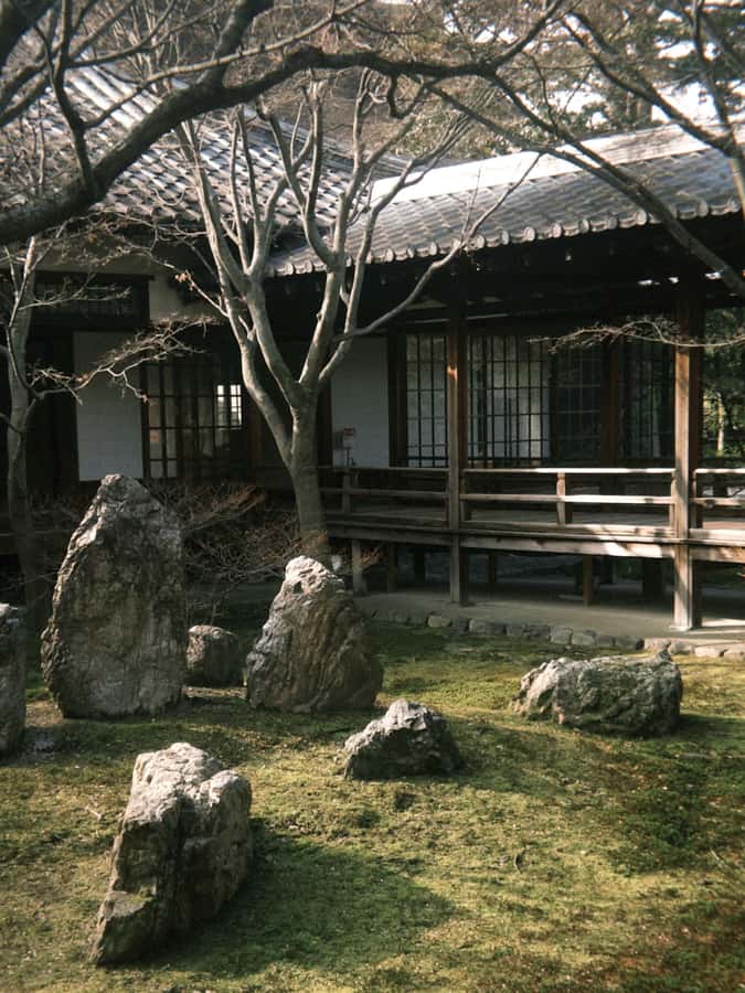 Osaka private Luxury Vehicle Tour：Freely Customized - Is this the right fit for you?