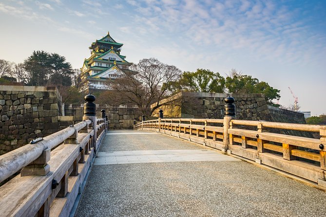 Osaka Private Pop Culture Tour: Historic Tenma to Dotonbori - Tenma’s alleyways, shrines, and market rhythm