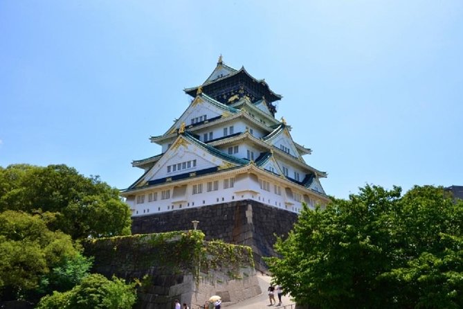 Osaka Private Tour by Public Transportation - Guide quality: What Mike and Hideyoshi bring to the day