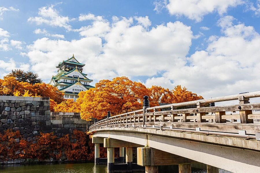 Osaka Private Tour with Government-Licensed Guide - Price and value: what $106 buys you (and what costs extra)