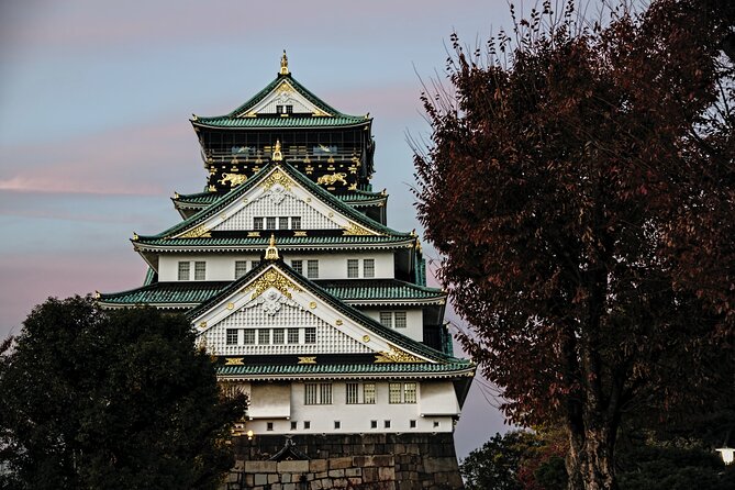 Osaka Private Walking Tour with a Local - Paid attractions, entrances, and extra guide time: how to keep your budget sane