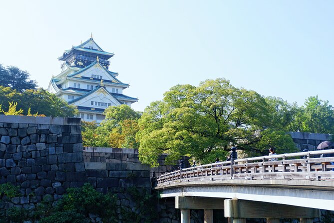 Osaka Private Walking Tour with a Local - Who should book (and who might want a different option)
