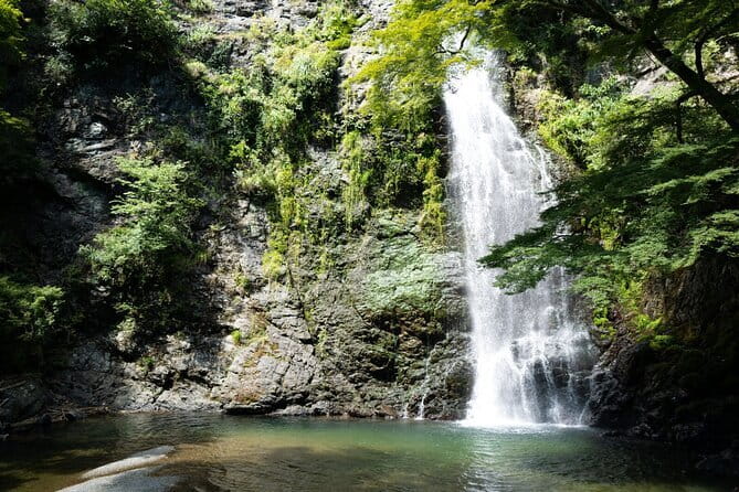 Osaka's Secret Adventures: Daruma Magic and Minoh Falls - Lunch and Minoo Park: scenic pauses instead of a rushed scramble