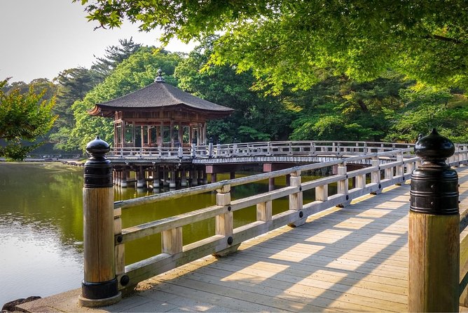 Osaka to Nara Day Trip with a Local – Private & Personalized - Kasuga Taisha in the forest: lanterns, Shinto calm, and a good sense of place