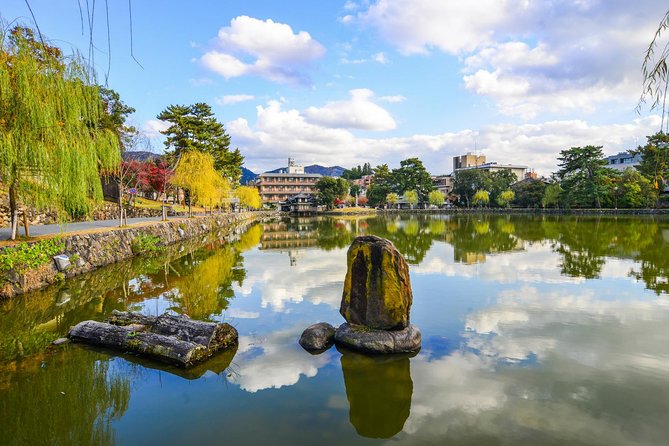 Osaka to Nara Day Trip with a Local – Private & Personalized - Getting there: pickup in Osaka, train tickets, and the JR Nara bus pass