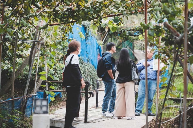 Osaka Winery Tour with Wine Tasting & Vineyard Walk - Price and value: what $83 buys you in the real world
