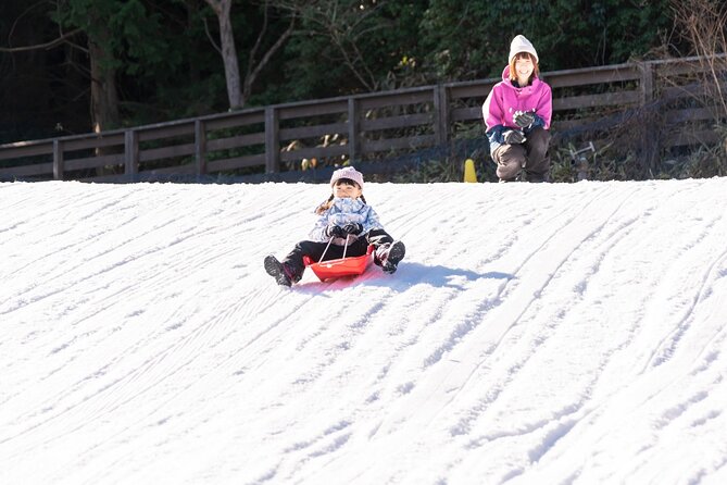 Play with Snow Crab Buffet Lunch and Strawberry Picking Bus Tour - Key tour highlights at a glance