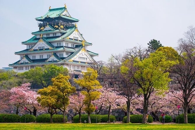 PRIVATE 6hr, Food tour from Osaka Castle, Kuromon, Dotonbori. - Key points you’ll care about