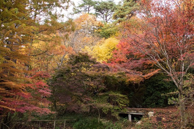 Private Car Day Trip to the Kobe Mountains, Gardens and Hot Springs from Osaka - Kobe’s mountain botanical calm: Kobe Municipal Arboretum
