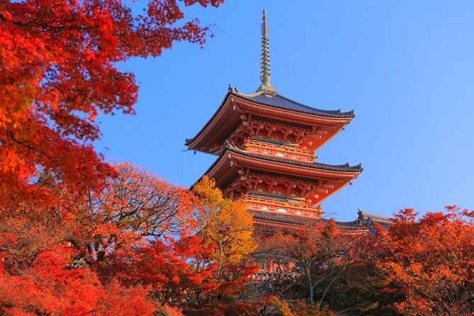 Private Day Tour in Osaka and Kyoto with charter car - How the charter car keeps Kyoto and Osaka from feeling like homework