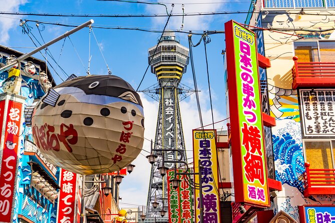 Private Day Tour in Osaka and Kyoto with charter car - Guide support that makes the day feel effortless