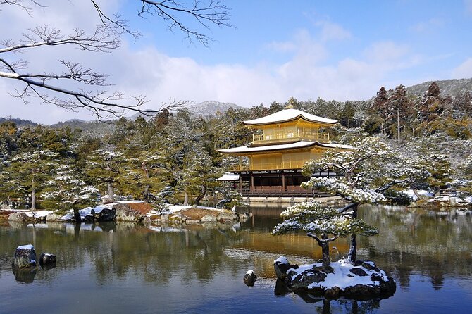 Private Day Tour in Osaka and Kyoto with charter car - Practical tips to make the most of your 8–10 hour day