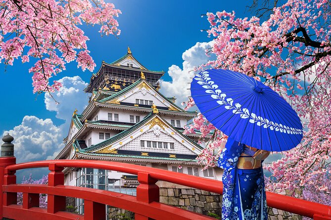 Private Day Tour in Osaka and Kyoto with charter car - Route options: choosing your Kyoto flavor (and Kobe if you want)
