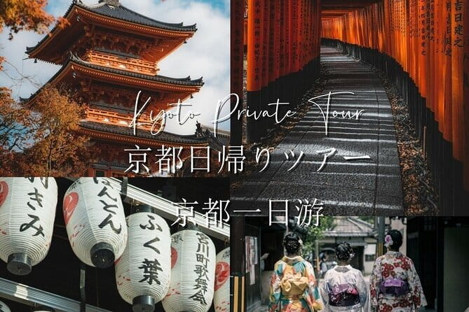 Private Day Tour of Historic Osaka - Osaka Castle and Samurai-Era Power, from Late 1500s to Today
