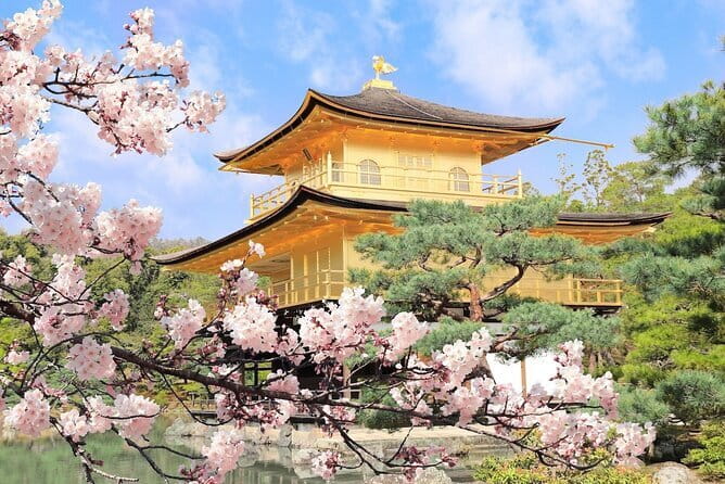Private Day Tour of Historic Osaka - Meeting Point to Finish Line: A Simple Plan for Your Morning