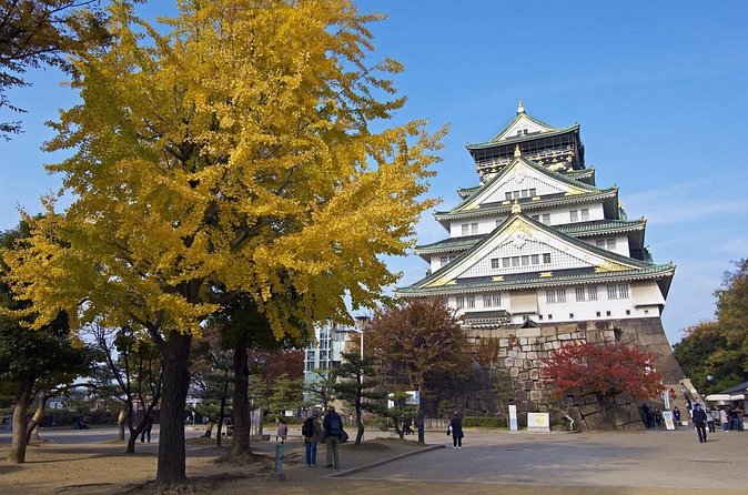 Private Departure Transfer: Osaka City to Osaka Itami Airport - What Happens When Your Flight Is Early