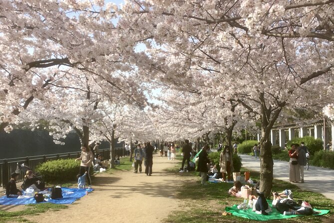 Private Osaka Tour with Hotel Meet Up - Key highlights I’d plan around