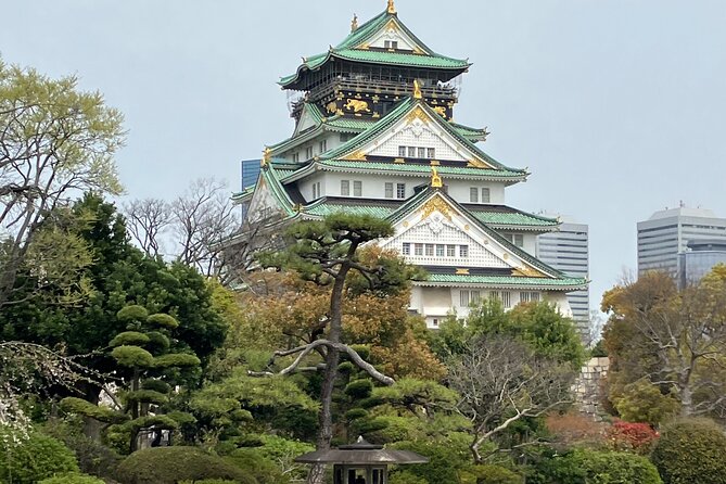 Private Osaka Tour with Hotel Meet Up - Private Osaka, paced for real life