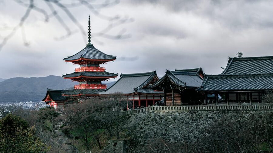 Private tour to Osaka&Kyoto&Nara(Pickup location selectable) - Why This Private Osaka-Kyoto-Nara Tour Feels Like the Right Kind of Luxury