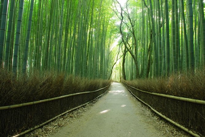 Sagano Romantic Train & Arashiyama, Kiyomizudera, Fushimi Inari Taisha Day Tour - Arashiyama (Sagano area): bamboo cooling, river views, and Togetsukyo in stride